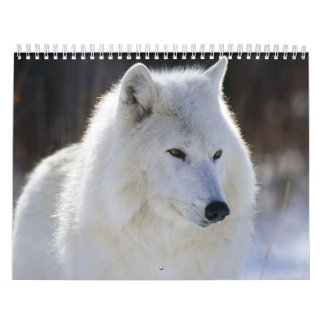 Calendario salvaje para un año salvaje