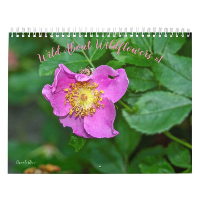 Calendario Salvaje sobre las flores silvestres #1 (Tapa)