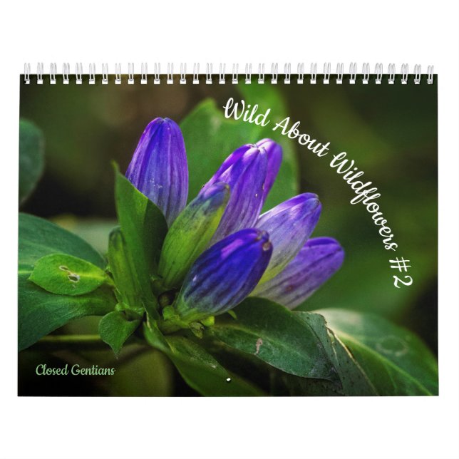 Calendario Salvaje sobre las flores silvestres #2 (Tapa)