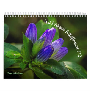 Calendario Salvaje sobre las flores silvestres #2