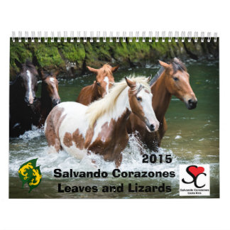 Calendario Salvando Corazones 2015 de la