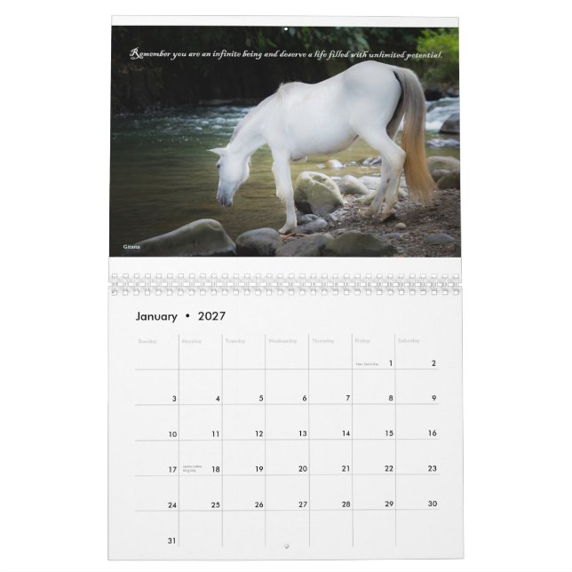 Calendario Salvando Corazones 2015 de la (Jan 2027)