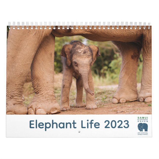 Calendario Samui Elephant Haven 2023 (Tapa)