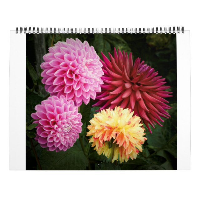 Calendario San Francisco Dahlias 2022 (Reverso)