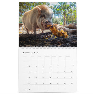 Calendario Santuario Granja de la Paz 2027