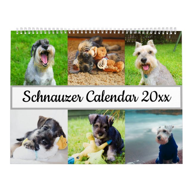 Calendario Schnauzer (Tapa)