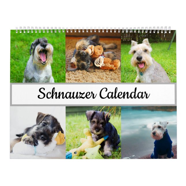 Calendario Schnauzer (Tapa)