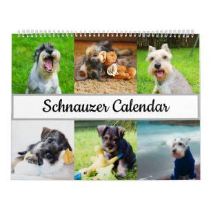 Calendario Schnauzer 2022