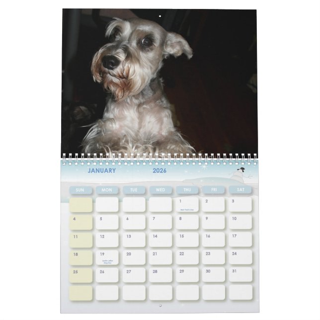Calendario Schnauzer Calander (Jan 2026)