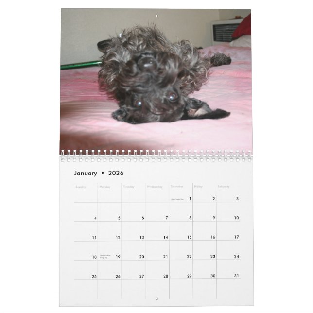 Calendario Schnauzers (Jan 2026)