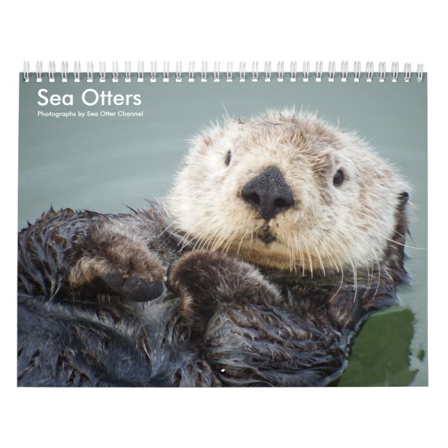 Calendario Sea Otter Channel Calendar #1 (Tapa)