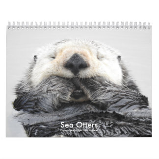 Calendario Sea Otter Channel Calendar #2