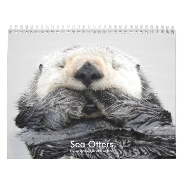 Calendario Sea Otter Channel Calendar #2 (Tapa)