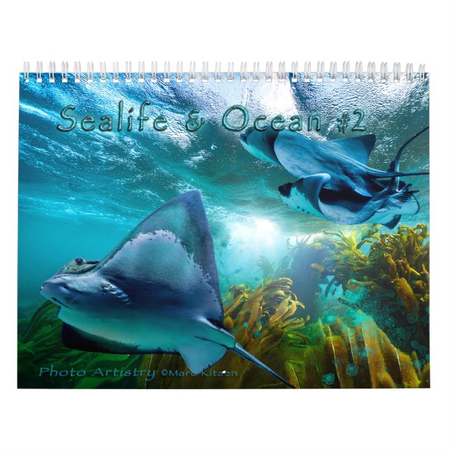 Calendario SEALIFE Y ARTE OCEÁNICO #2 (Tapa)