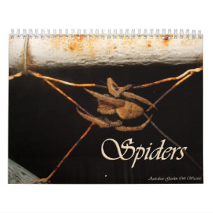 Calendario Secretos de una araña de jardín