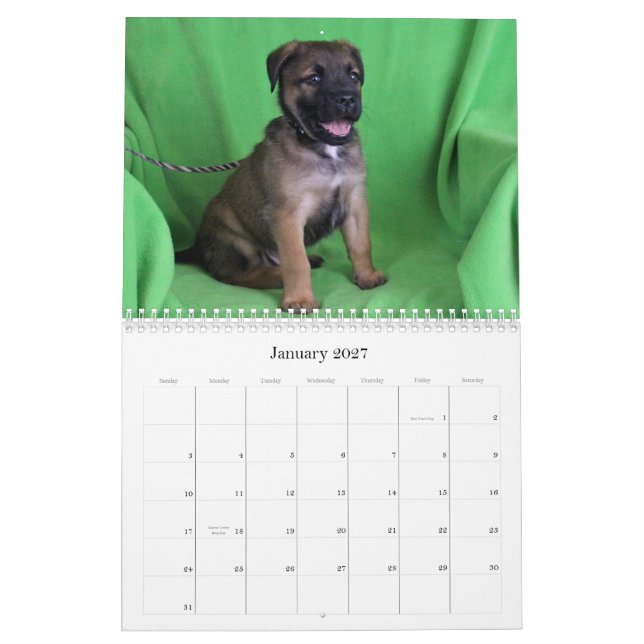 Calendario seguro del rescate 2015 de las manos (Jan 2027)