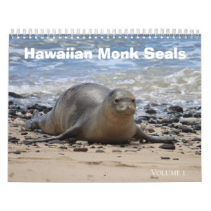 Calendario Sellos monjes hawaianos
