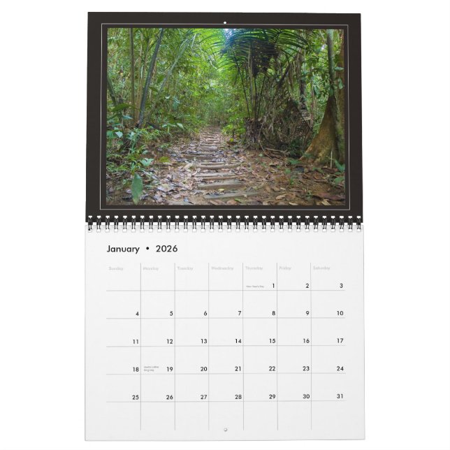 Calendario SELVA - 2010, paisajes hermosos… (Jan 2026)