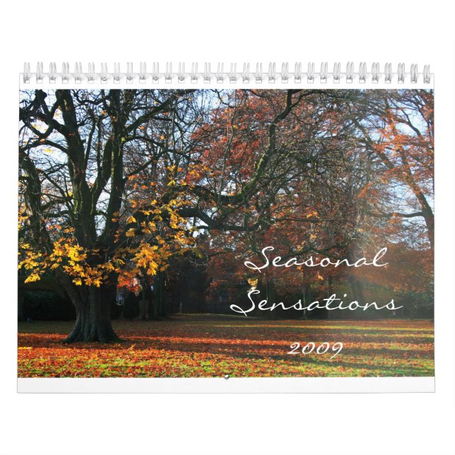 Calendario Sensaciones estacionales 2009 (Tapa)