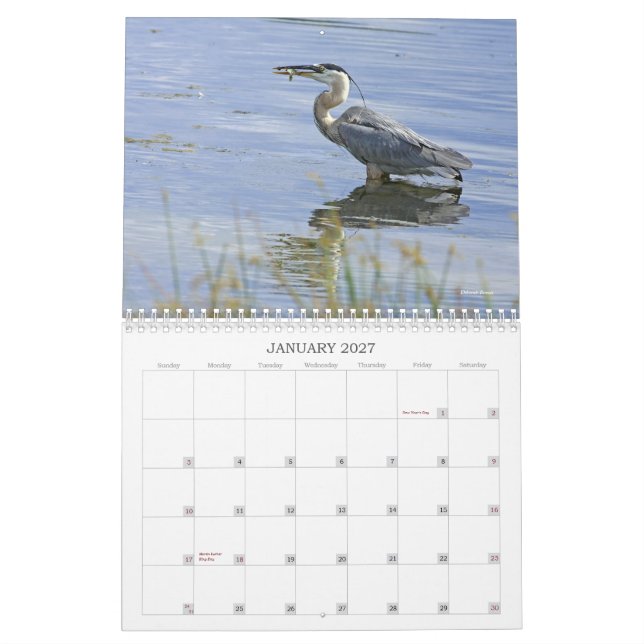 Calendario Serie azul de la garza (Jan 2027)