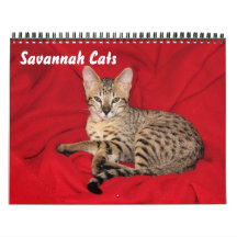 Calendario Serval Savannah Cat