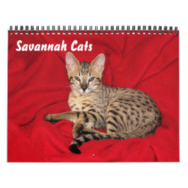 Calendario Serval Savannah Cat