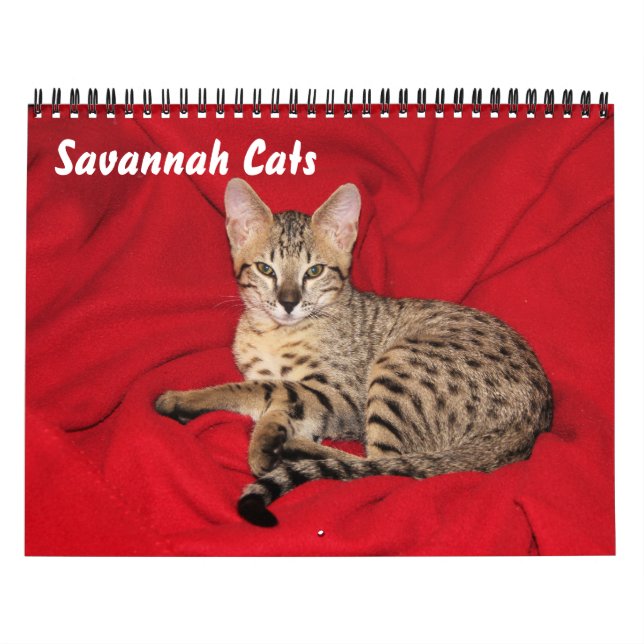 Calendario Serval Savannah Cat (Tapa)