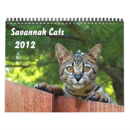Calendario Serval Savannah Cat