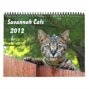 Calendario Serval Savannah Cat