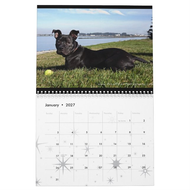 Calendario Servicios animales de Oakland - 2010 (Jan 2027)