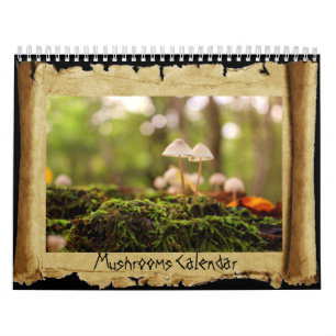 Calendario Setas