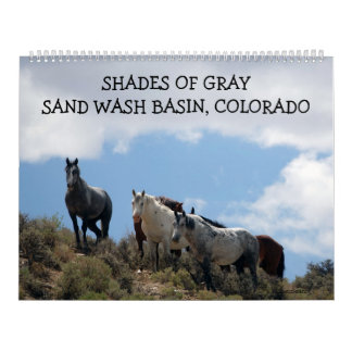 Calendario Shades of Gray Sand Wash Basin, Colorado