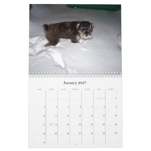 Calendario sHAMUS dulce a través del dayZ (Jan 2027)