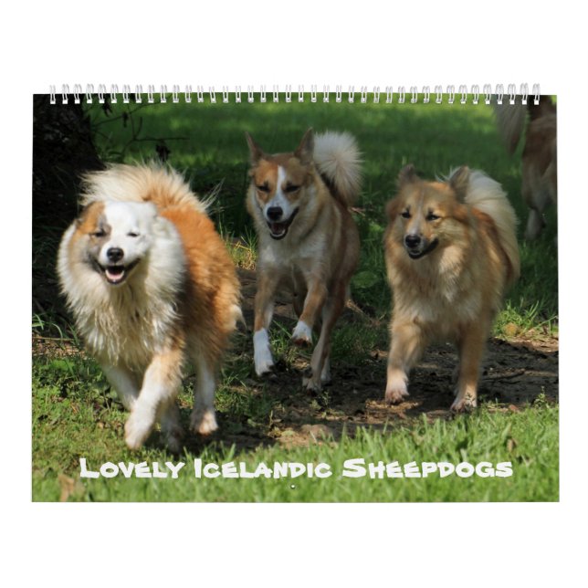 Calendario Sheepdog islandés 001 (Tapa)