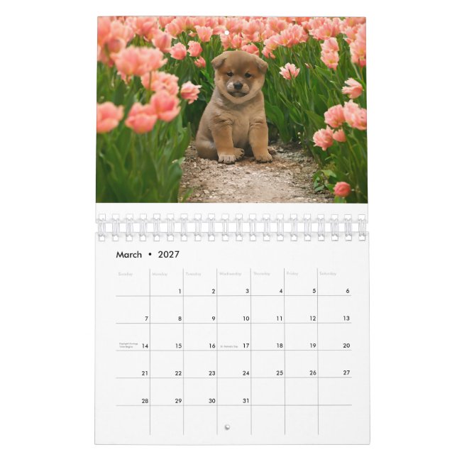 Calendario Shiba Inu Puppies (Mar 2027)
