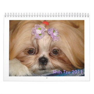 Calendario Shih Tzu