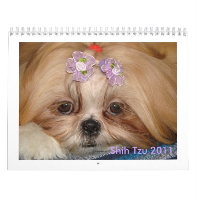 Calendario Shih Tzu (Tapa)
