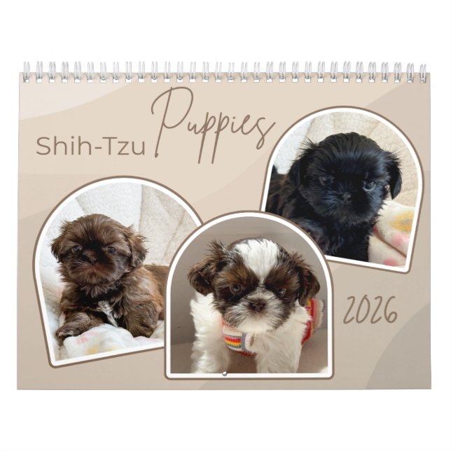 Calendario Shih-Tzu Puppies Photo Collage Calendar (Tapa)