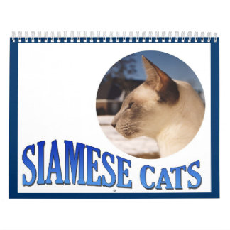 Calendario Siamés de gatos 2024