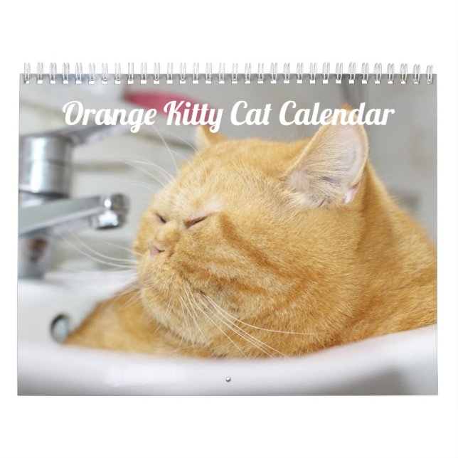 Calendario siamés de gatos gatos gatitos 2021 (Tapa)