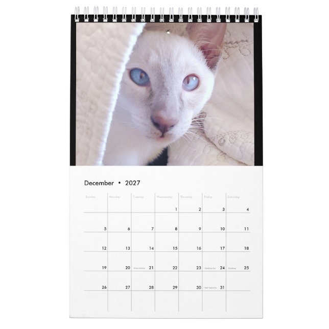 Calendario Siamese Cats Calendar (Dec 2027)