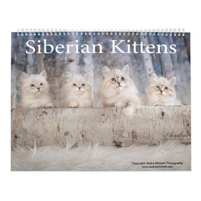 Calendario Siberiano de gatitos (Tapa)