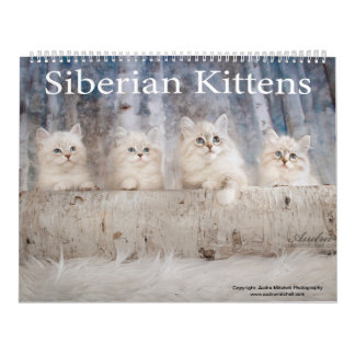 Calendario Siberiano de gatitos