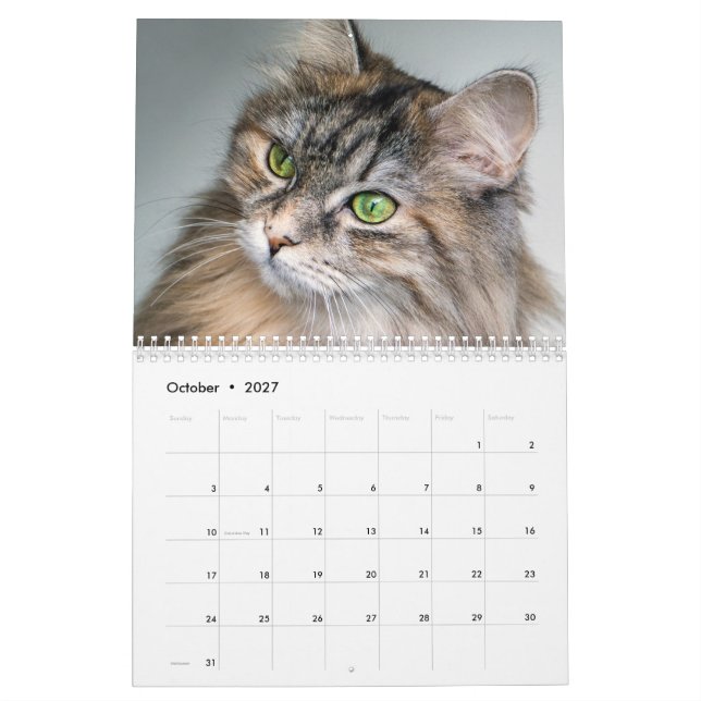 Calendario Siberiano de gatos 2019 (Oct 2027)