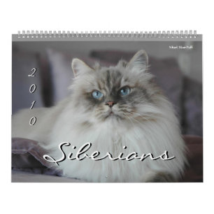 Calendario Siberiano de gatos y gatitos 2010 3