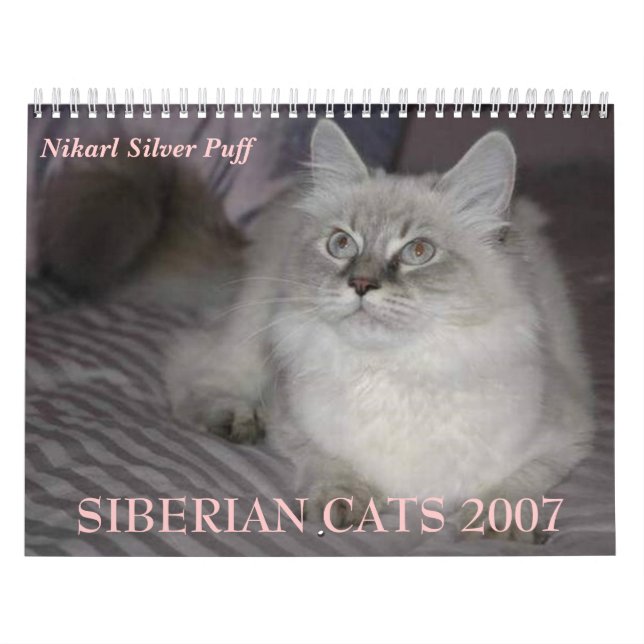 Calendario SIBERIANO de los GATOS 2007… (Tapa)