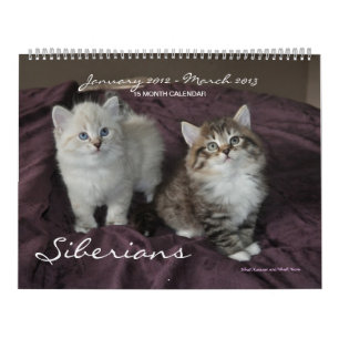 Calendario Siberians Cats Kittens 2012 - 2013
