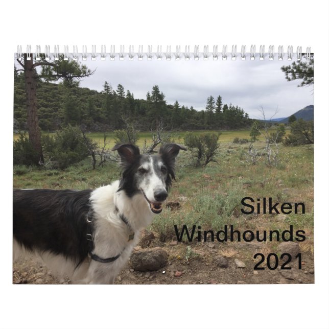 Calendario Silken Windhounds 2021 Adultos 1 (Tapa)