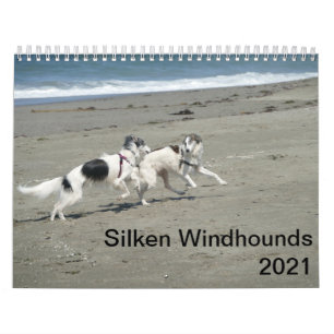 Calendario Silken Windhounds 2021 - Diversión En La Playa