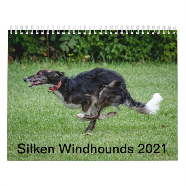 Calendario Silken Windhounds 2021 En Acción (Tapa)